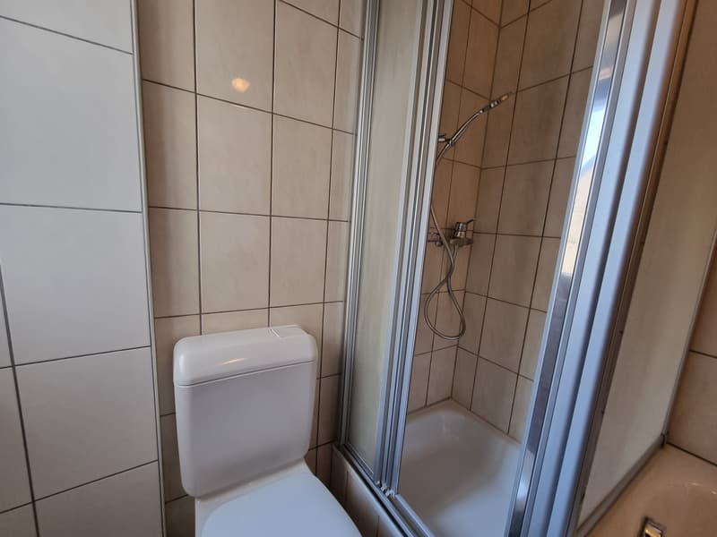 Bello appartamento parzialmente ristrutturato di 4,5 locali con balcone e giardino comune (11)