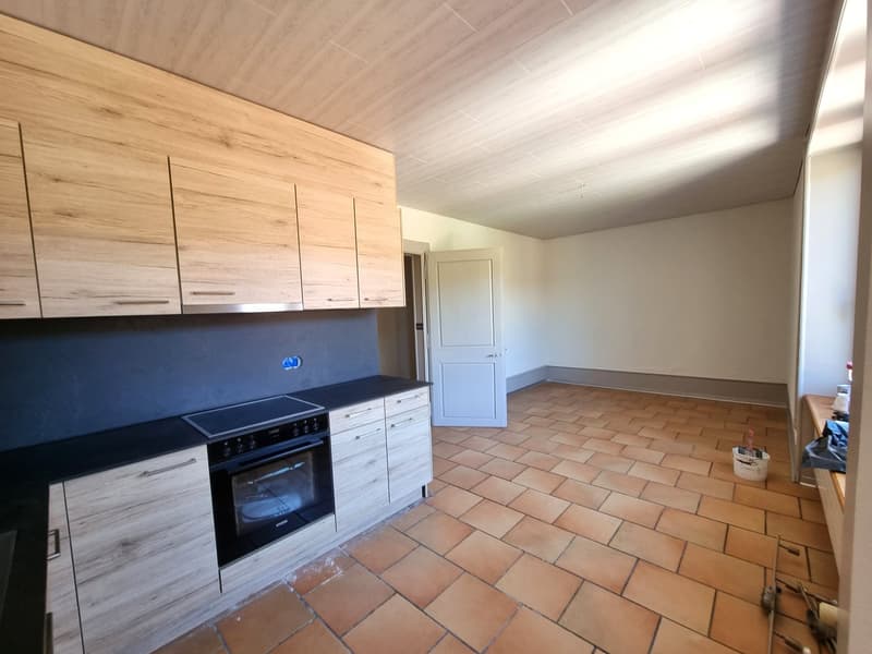 Bello appartamento parzialmente ristrutturato di 4,5 locali con balcone e giardino comune (2)