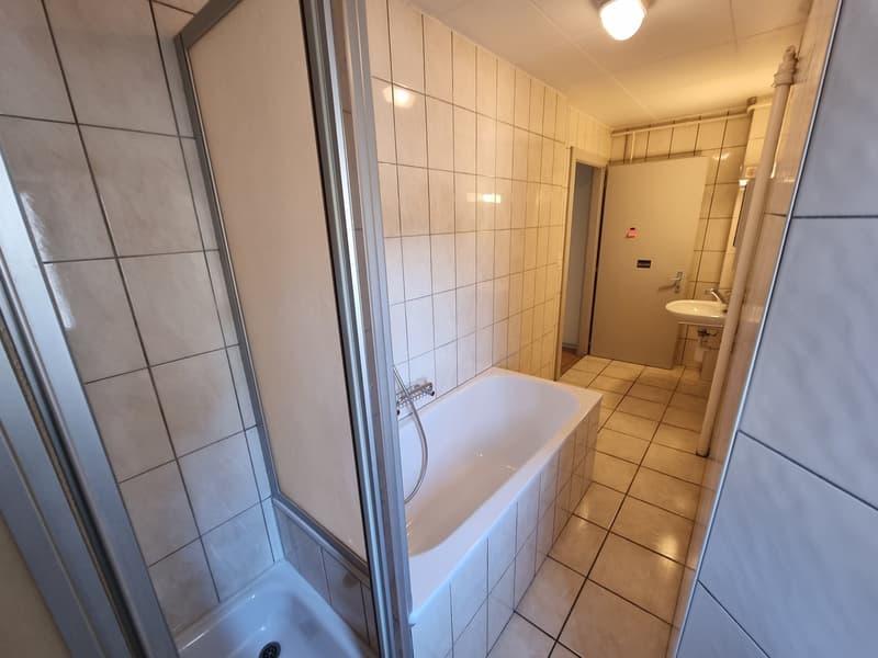 Bello appartamento parzialmente ristrutturato di 4,5 locali con balcone e giardino comune (10)