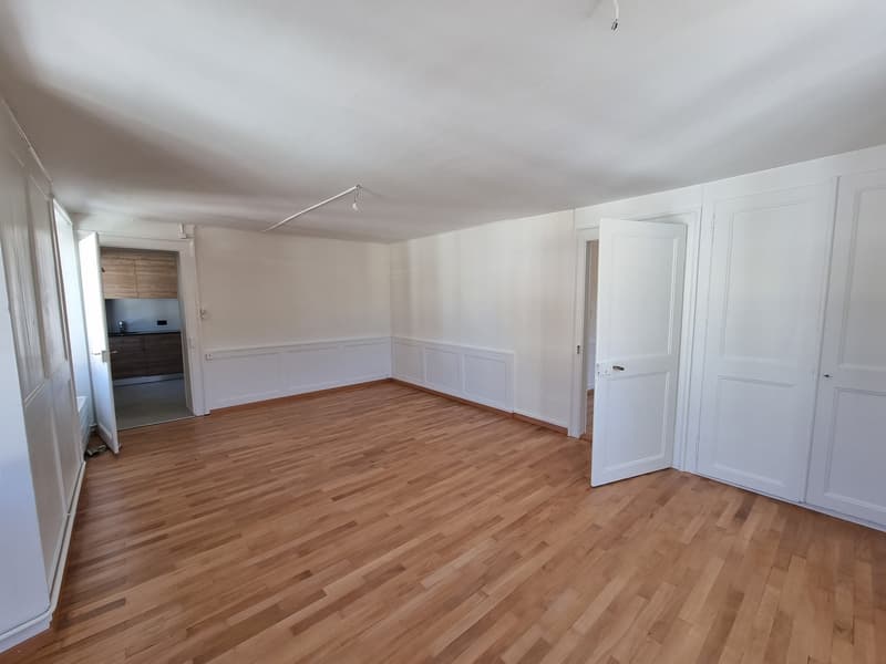 Joli appartement de 4 pièces rénové au centre du village (3)