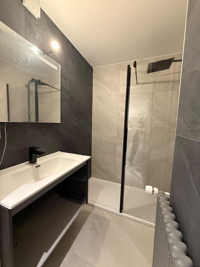 Superbe appartement de 3 pièces entièrement refait à neuf avec balcon situé dans un quartier calme (7)