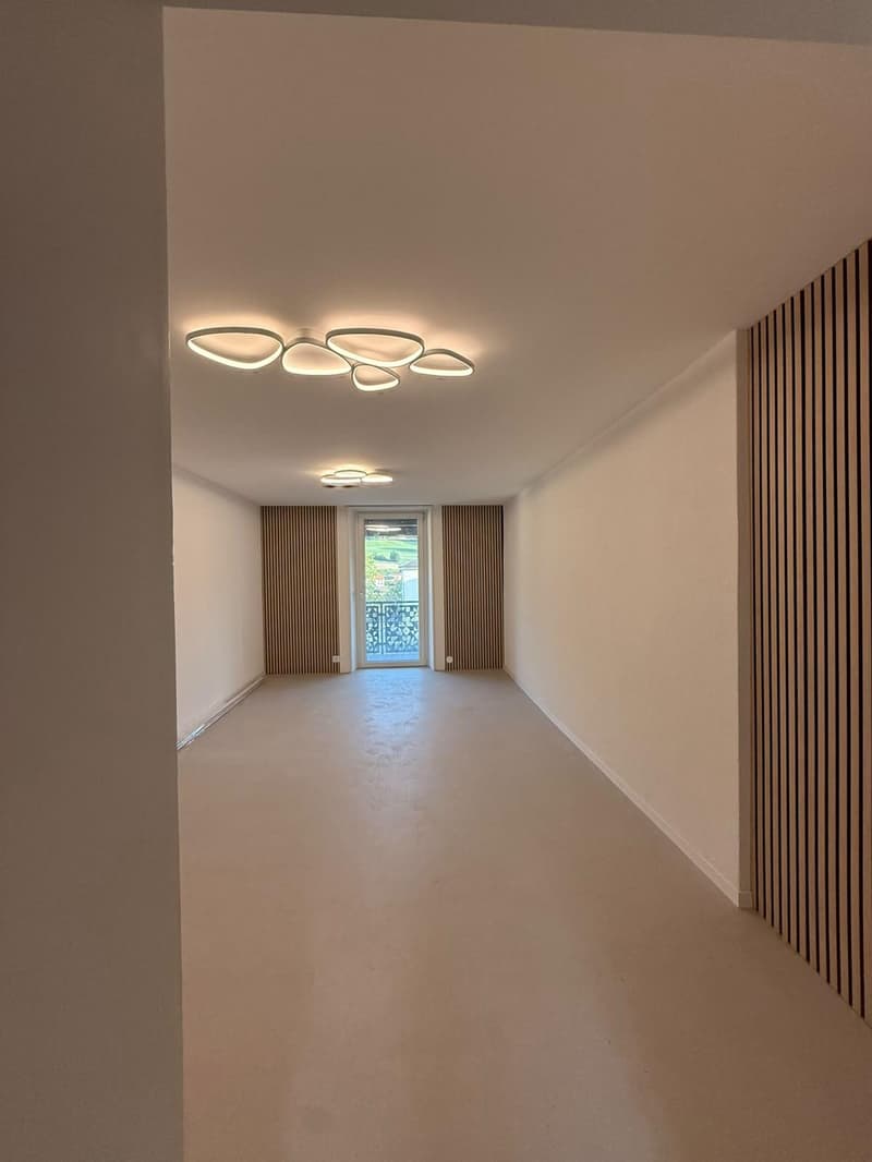 Superbe appartement de 3 pièces entièrement refait à neuf avec balcon situé dans un quartier calme (6)