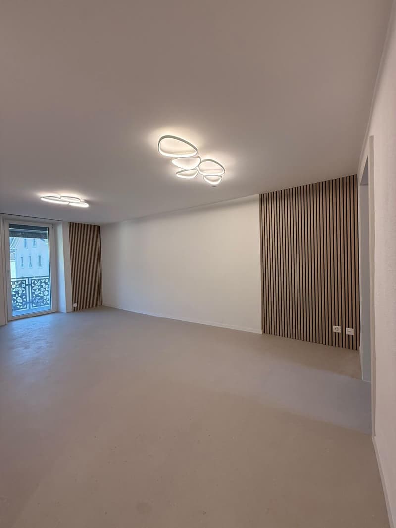 Superbe appartement de 3 pièces entièrement refait à neuf avec balcon situé dans un quartier calme (3)