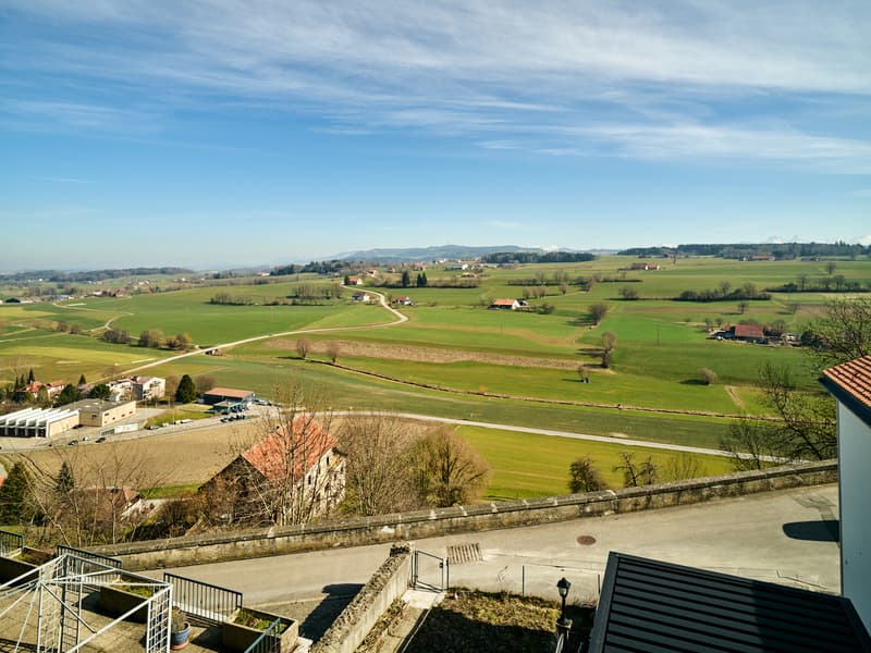 Casa di città a Romont sulle mura (13)