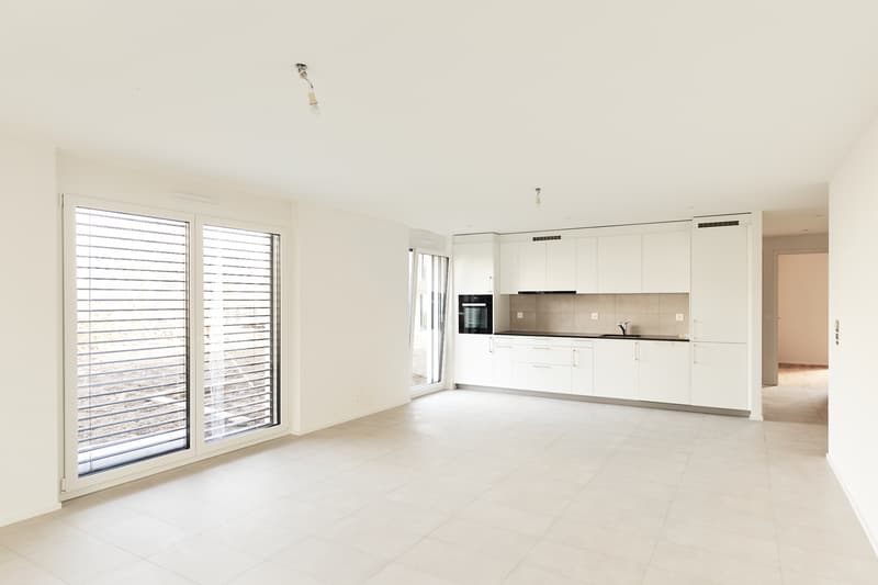 Beautiful modern apartment with terrace and garden (1)