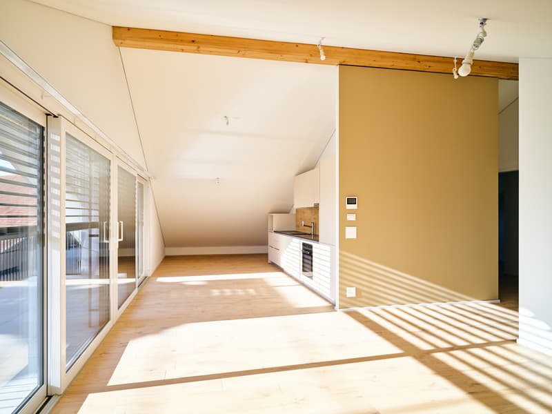 Luxurious 3.5 room attic with large glass front on protected balcony (1)