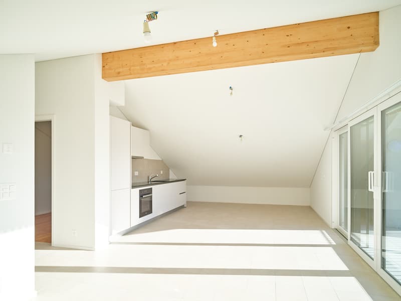Beautiful 3.5 room attic with large glass front on a protected balcony (2)