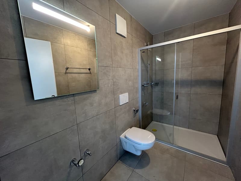 Schönes 4,5-Zimmer-Neubau in der Nähe von Châtel-St-Denis (7)