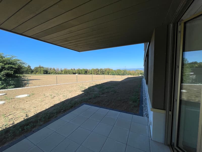 Appartements de 4,5 dans un cadre calme et verdoyant à Châtonnaye (4)