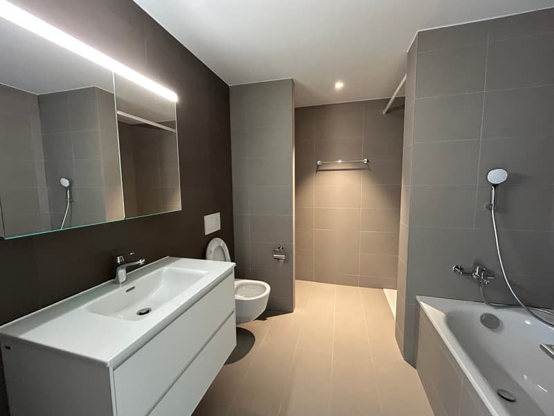 Appartements de 4,5 dans un cadre calme et verdoyant à Châtonnaye (3)