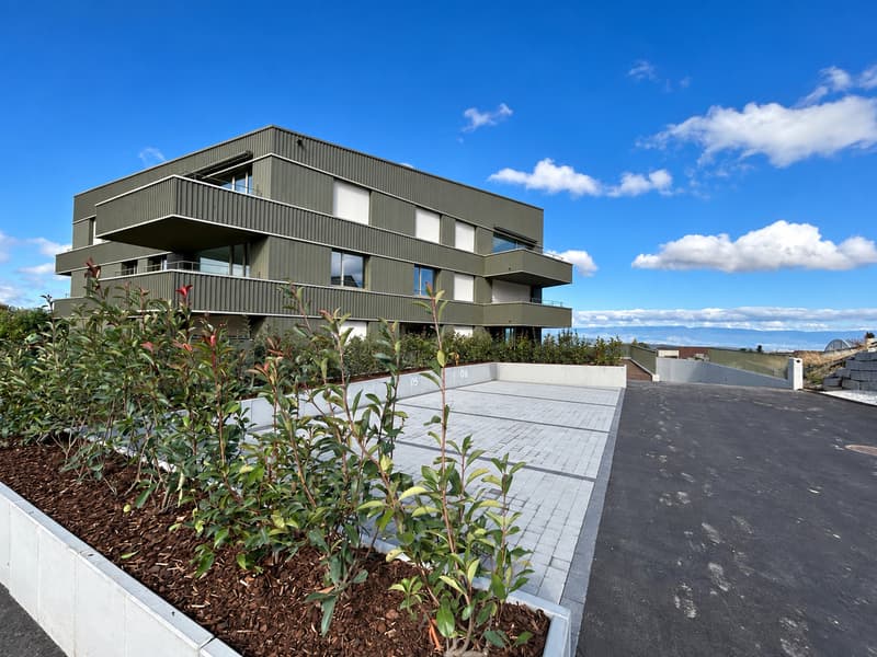 Appartements de 4,5 dans un cadre calme et verdoyant à Châtonnaye (6)