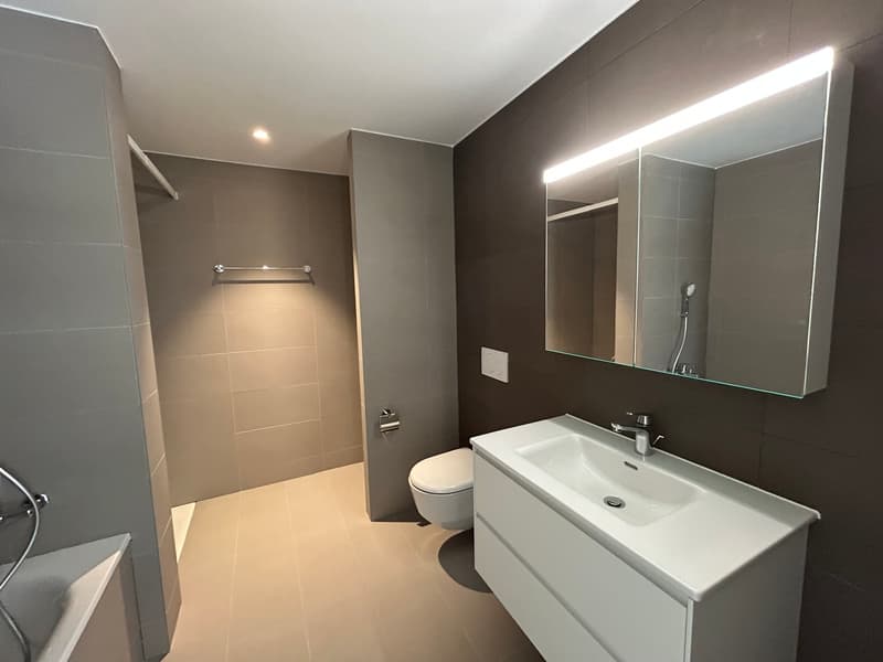 Appartements de 3,5 dans un quartier calme et verdoyant à Châtonnaye (5)