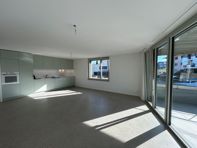 Appartements de 3,5 dans un quartier calme et verdoyant à Châtonnaye (3)