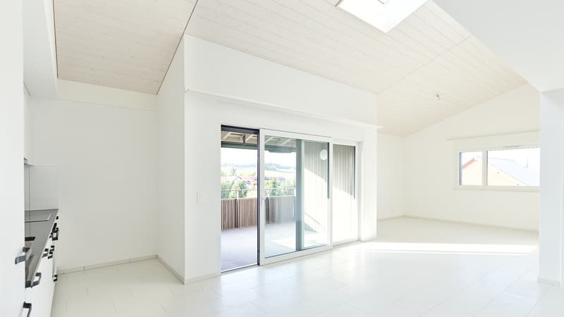 Appartements neufs de 3,5 pièces dans un village calme (4)