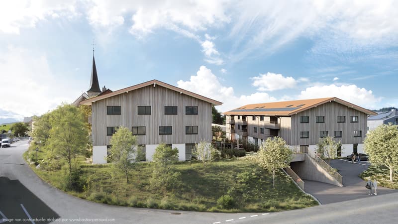 Spacious new 4.5-room apartments in a green setting (3)