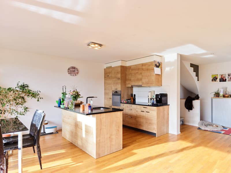 Großes Apartment im Triplex, sehr hell, mit Terrasse und Garten (2)