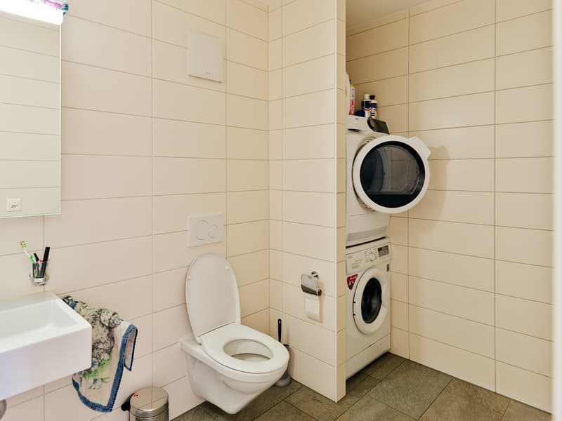 Großes Apartment im Triplex, sehr hell, mit Terrasse und Garten (6)