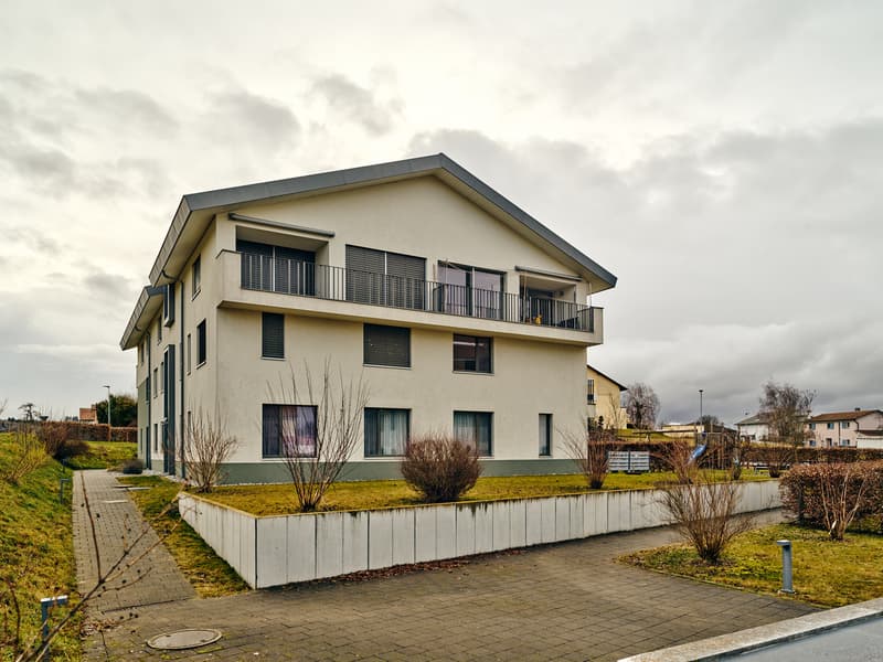 Großes Apartment im Triplex, sehr hell, mit Terrasse und Garten (12)