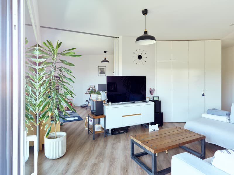Prächtige 4,5-Zimmer-Wohnung von hoher Qualität in einer kleinen Residenz (3)