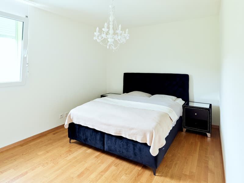 Very large and beautiful 3.5-room apartment with terrace in a peaceful setting (5)