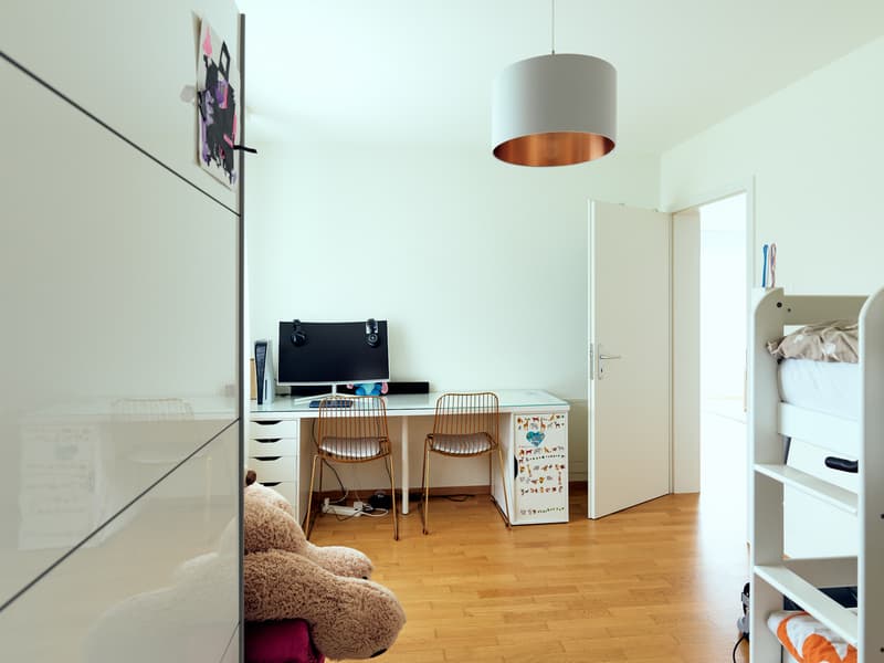 Very large and beautiful 3.5-room apartment with terrace in a peaceful setting (3)