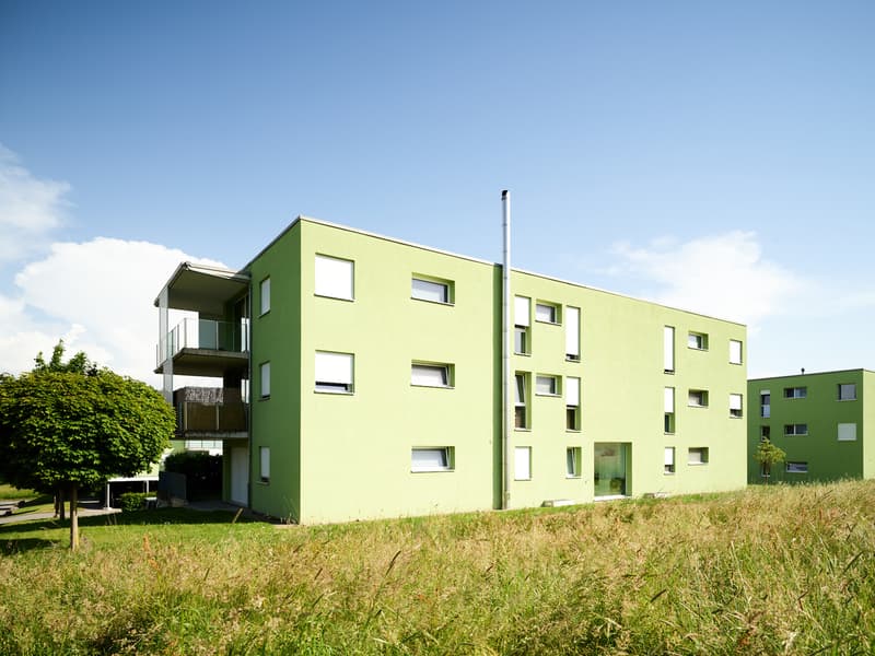 Very large and beautiful 3.5-room apartment with terrace in a peaceful setting (9)