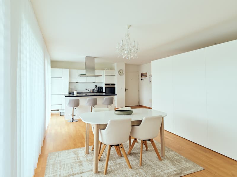 Very large and beautiful 3.5-room apartment with terrace in a peaceful setting (2)