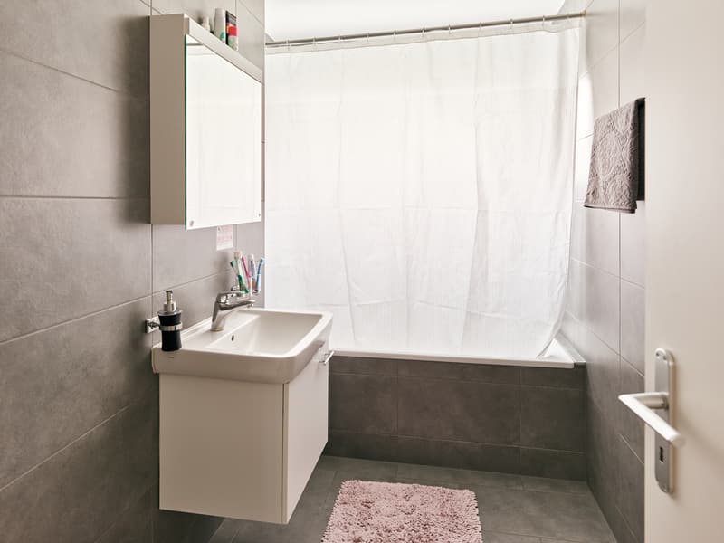 Very large and beautiful 3.5-room apartment with terrace in a peaceful setting (6)
