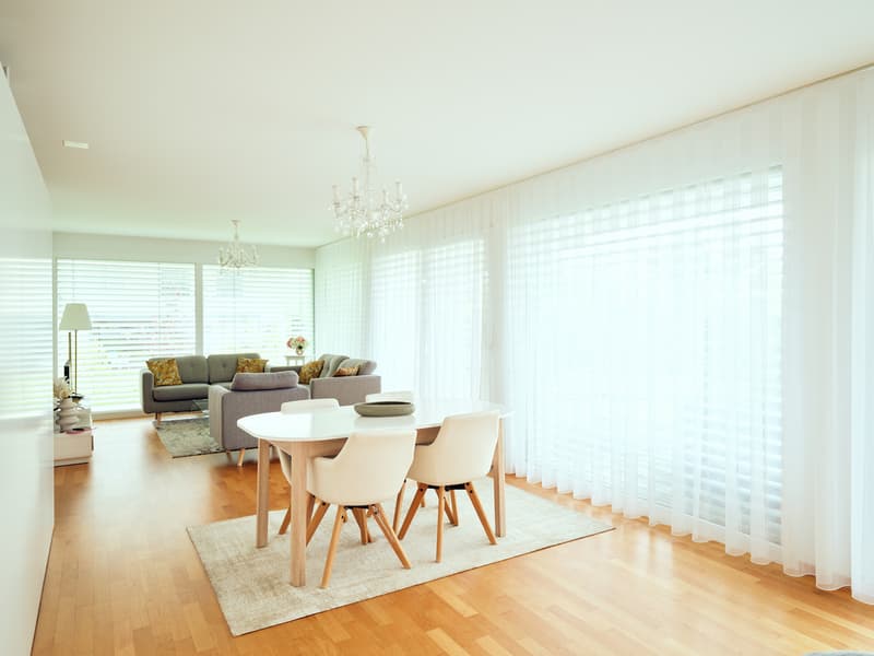 Very large and beautiful 3.5-room apartment with terrace in a peaceful setting (1)