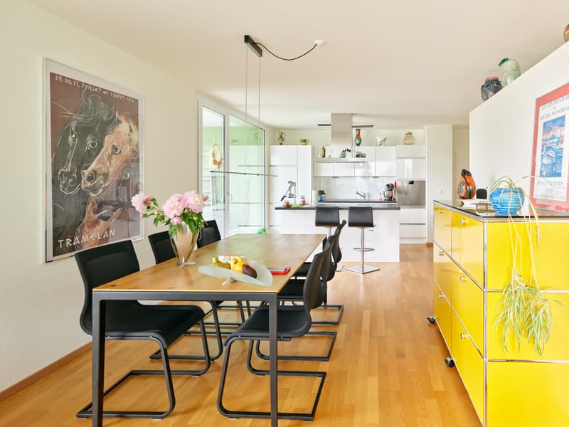 Very beautiful 4.5-room apartment with lots of light, large balcony, peaceful environment (1)