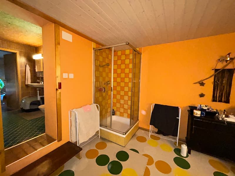 Casa isolata in campagna (11)