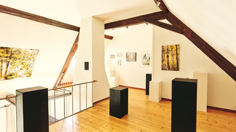Magnifique maison de maître idéalement située à Romont (4)