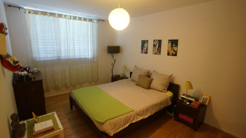 Duplex-Wohnung 4.5 Zimmer mit Terrasse und Garten (3)