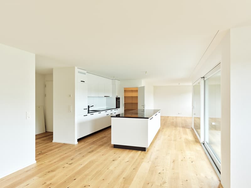 Spacieux logement neuf de 5.5 pièces avec grand balcon (1)