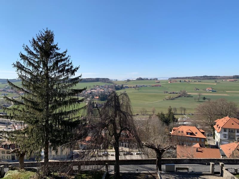 Bel appartement de 3,5 pièces en ville de Romont (9)
