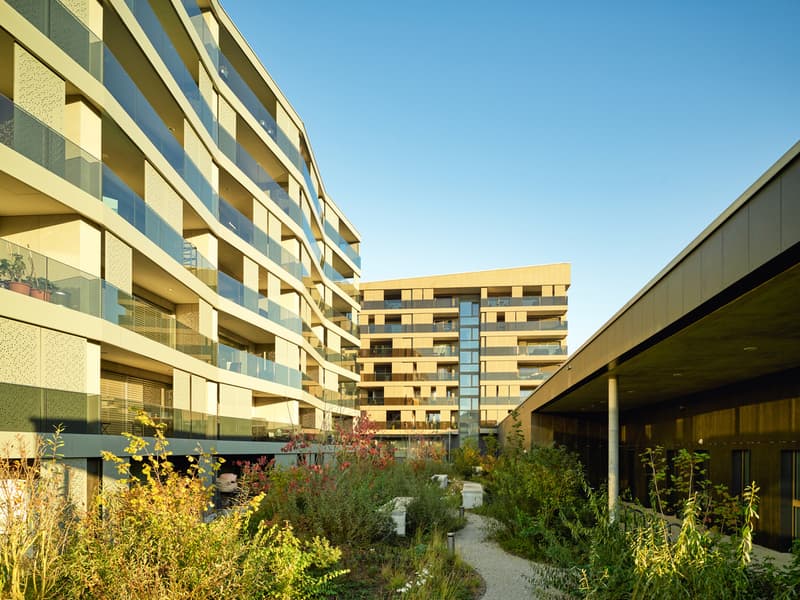 Appartement de 2,5 pièces traversant à louer de suite aux Echervettes (6)