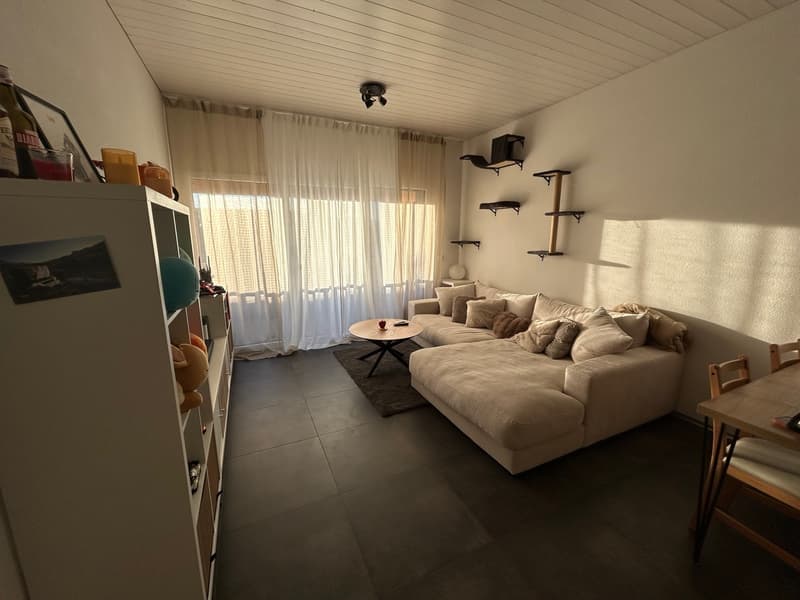 Appartement moderne de 2,5 avec grand balcon, idéal au quotidien (1)