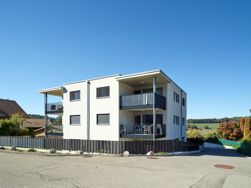 À vendre - Appartement de 3,5 pièces avec terrasse et jardin (12)