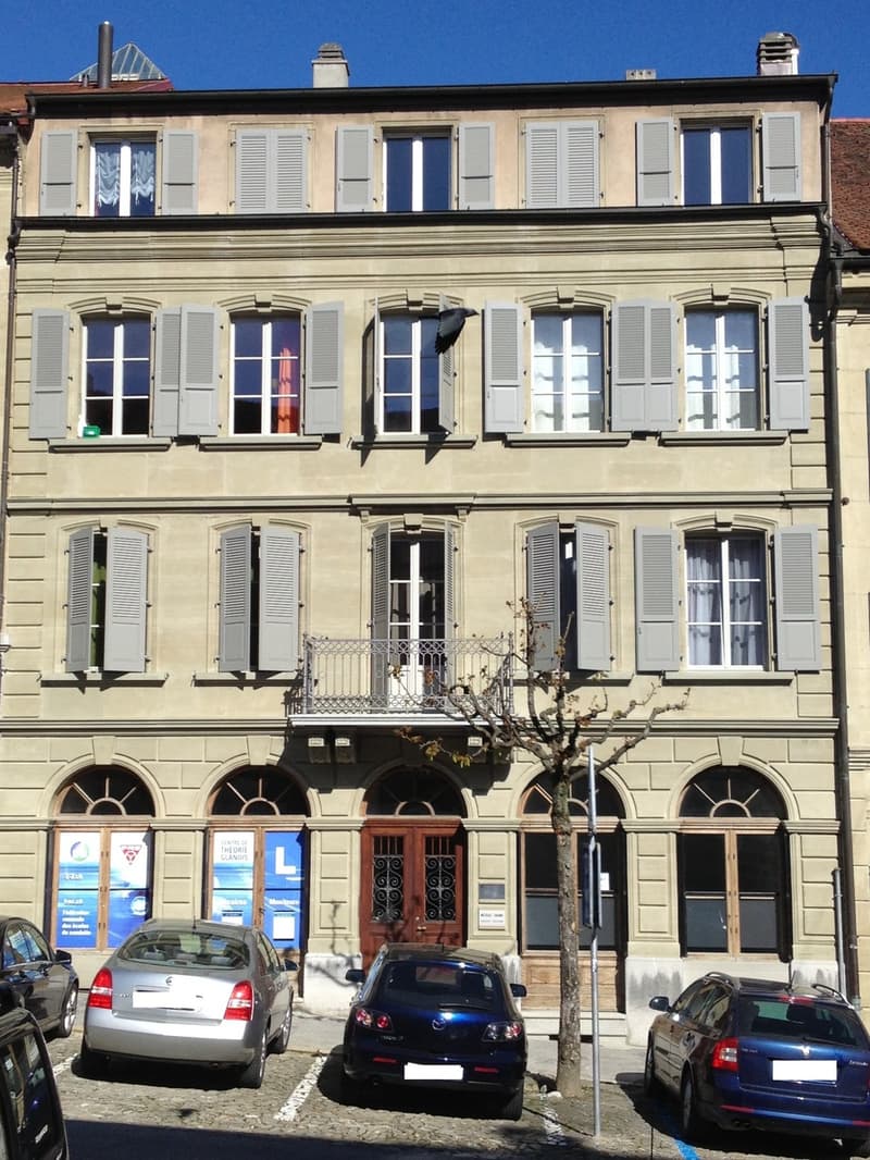 Appartement spacieux de 3.5 pièces au centre-ville (1)