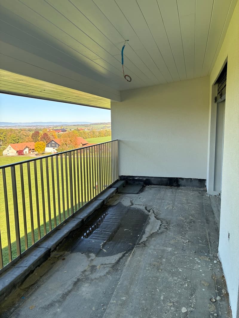 Appartement neuf de 2,5 pièces avec grand balcon et vue dégagée (4)
