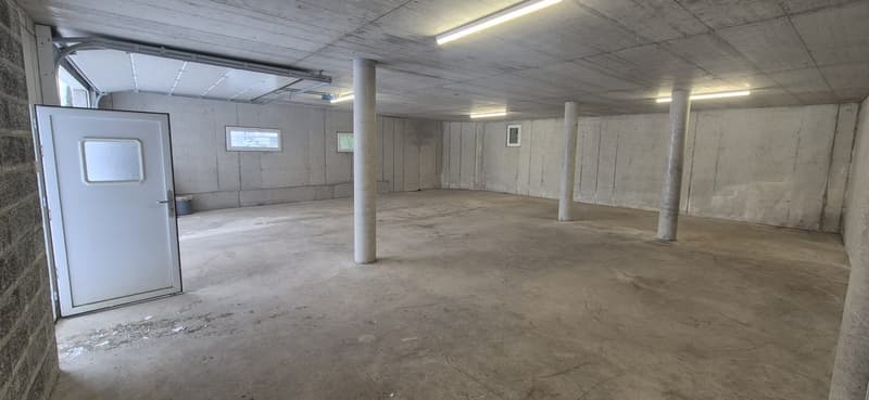 empty space, pillars, concrete walls, small windows, door, fluorescent ceiling lights