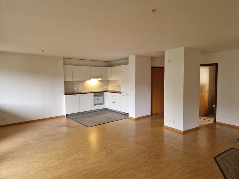 modern kitchen, integrated oven and stove, white cupboards, wooden floors