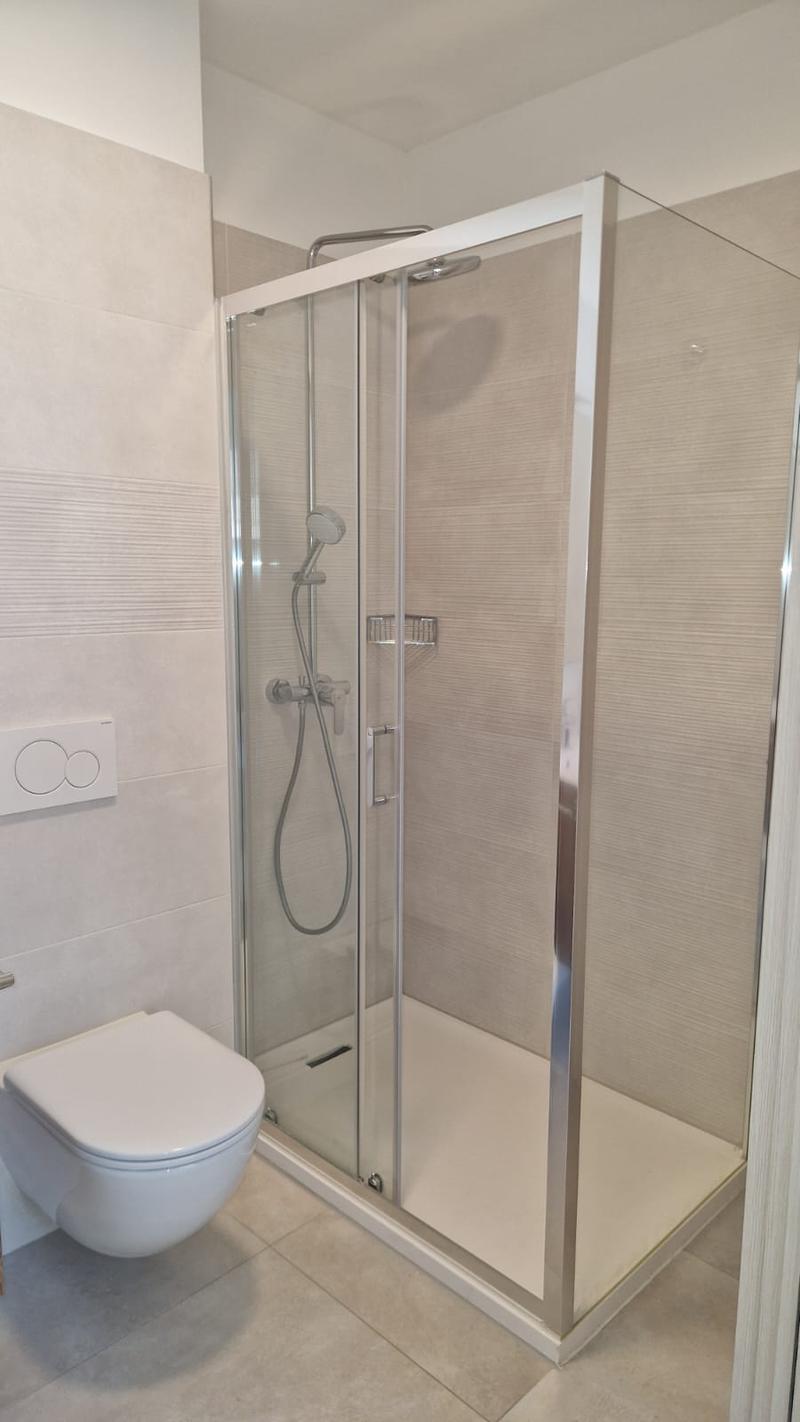 White toilet, Glass walled shower, Stainless steel frame
