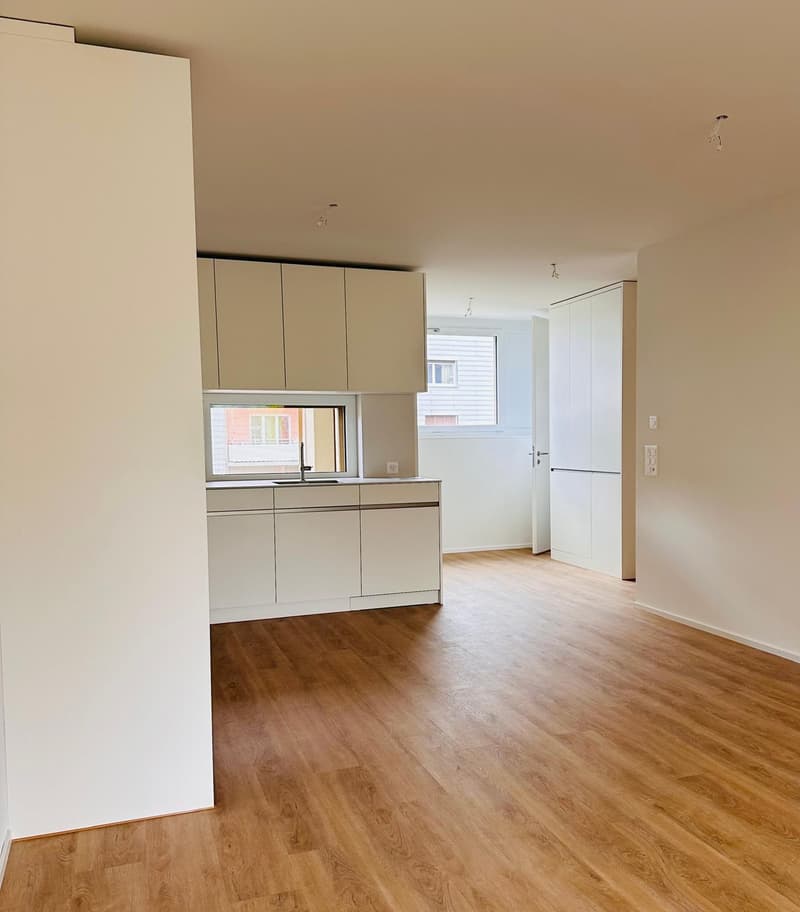 Magnifique appartement de 3,5 pièces à louer à Bienne – Première location (3)