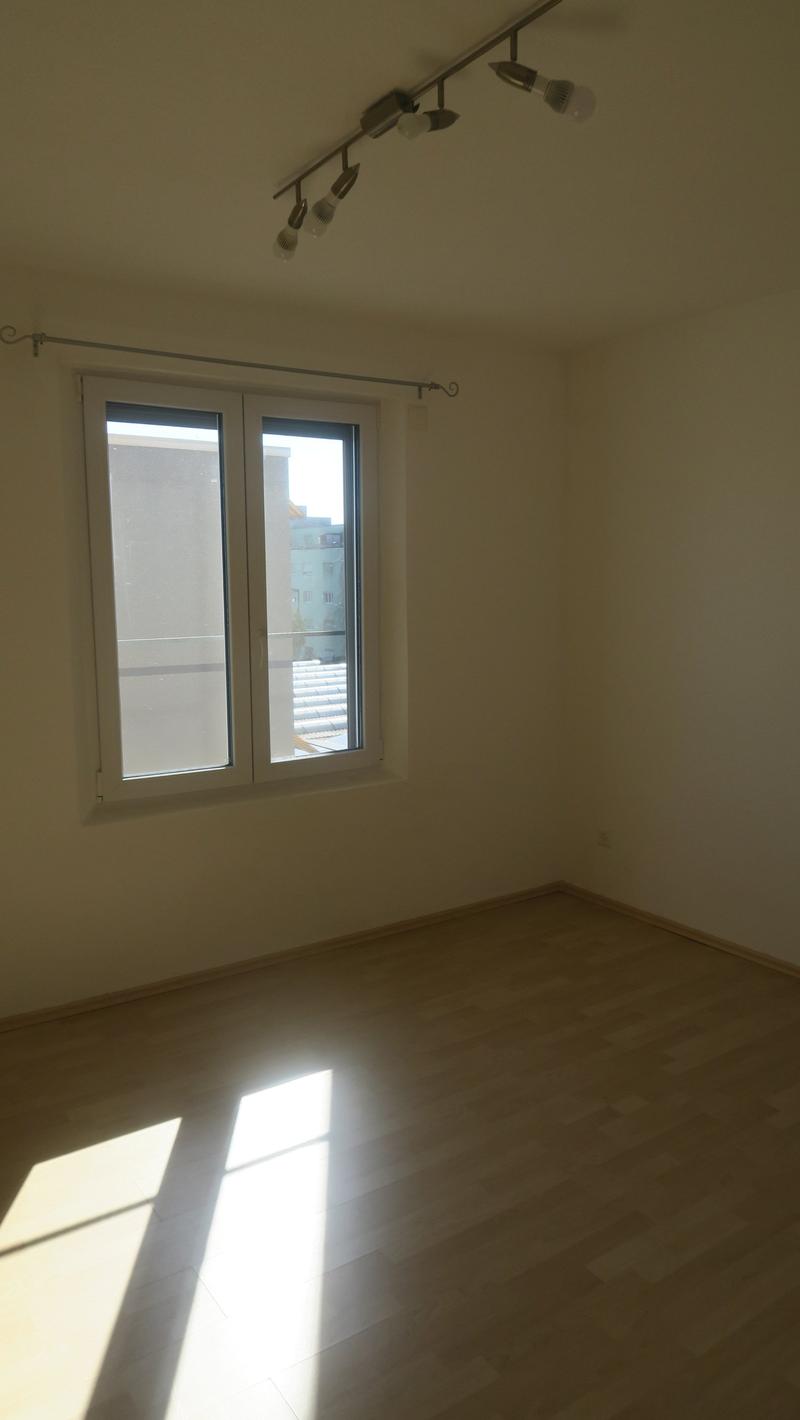 empty room, wooden floor, white walls, two windows, track lighting