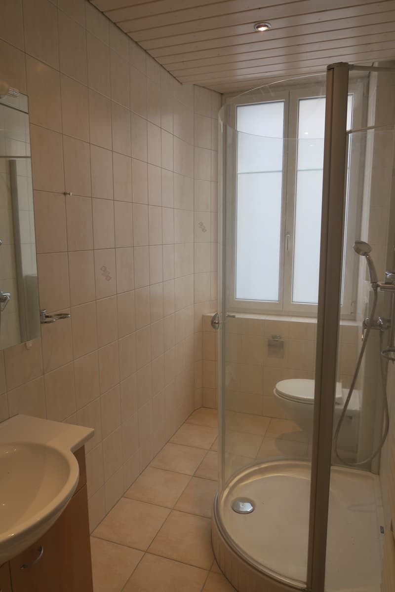 Bathroom with a sink, mirror, toilet, and a glass shower enclosure