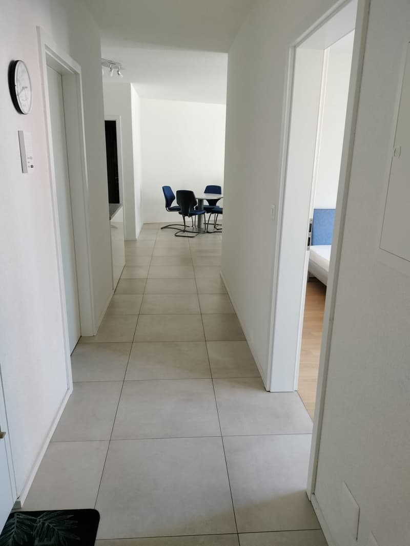 Schönes 3,5-Zimmer-Apartment zur Miete in Delémont (5)