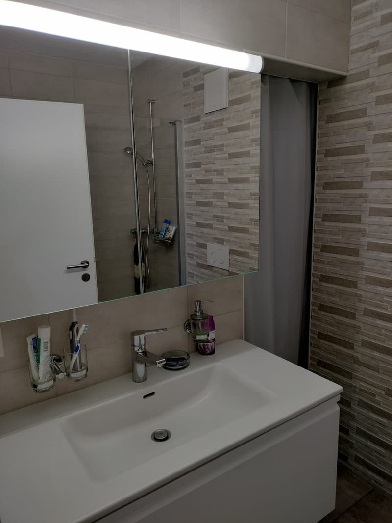 Schönes 3,5-Zimmer-Apartment zur Miete in Delémont (9)