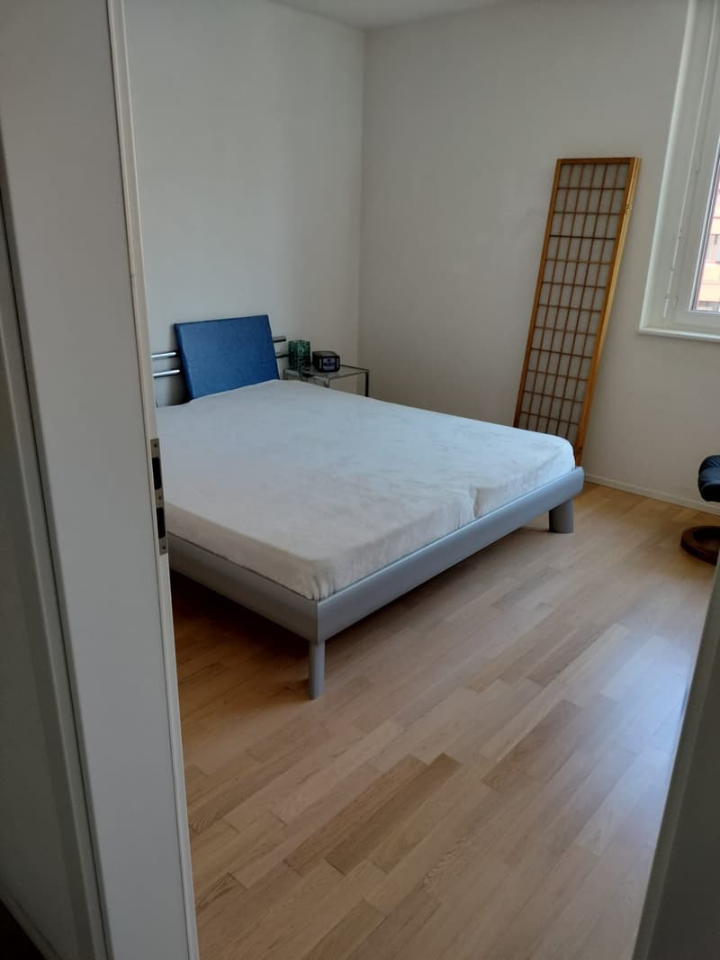 Schönes 3,5-Zimmer-Apartment zur Miete in Delémont (6)
