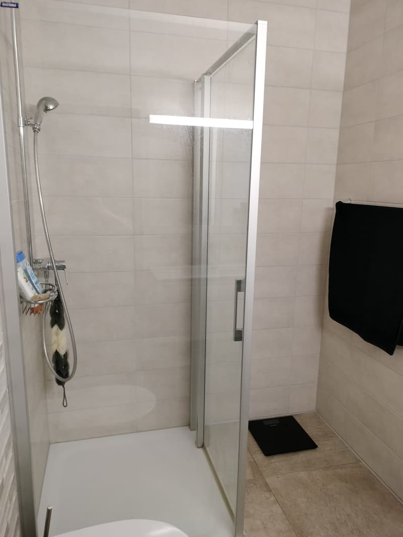 Schönes 3,5-Zimmer-Apartment zur Miete in Delémont (10)